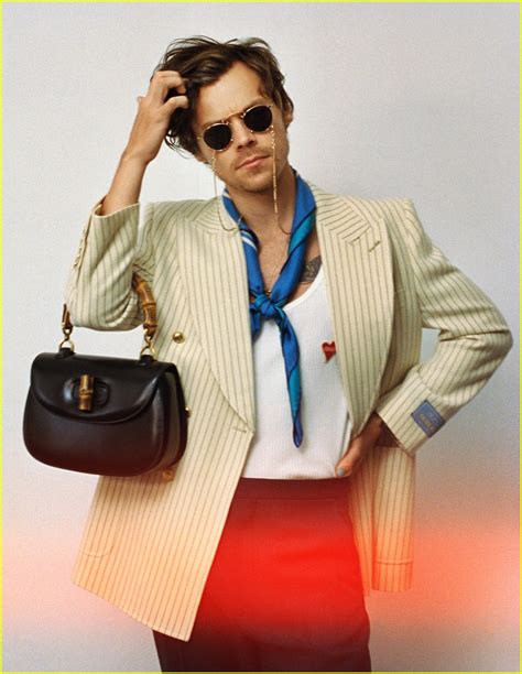 harry styles gucci campaign meaning|harry styles gucci collection.